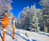 featured image Wyjazd NARCIARSKO-PIESZY w Beskid Sądecki (galeria)