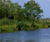 featured image (archiwum) Ogólnopolski Młodzieżowo-Rodzinny Spływ Kajakowy, Narewka – Narew, 20-28.07.2017 r.